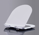 Сиденье для унитаза BelBagno Sfera-T BB2011SC
