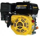 Двигатель Champion  G100HK