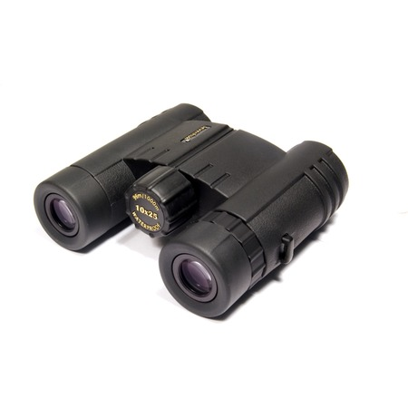 Бинокль Levenhuk Monaco 10x25