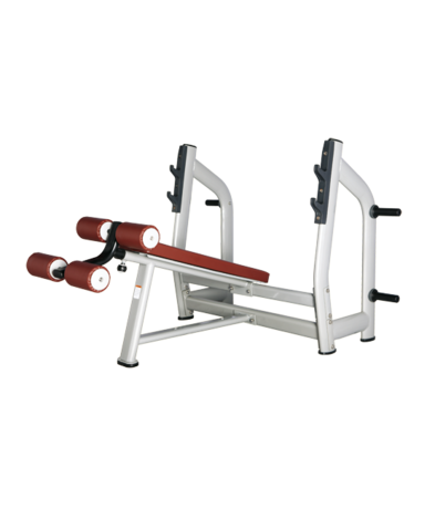 Силовая скамья Bronze Gym  H-024