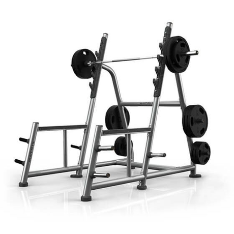 Силовая стойка Matrix  MAGNUM A81