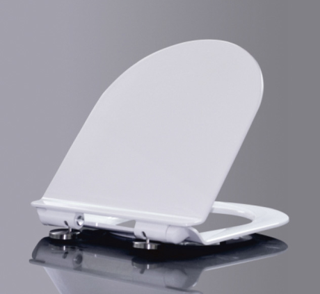 Сиденье для унитаза BelBagno Sfera-T BB2011SC
