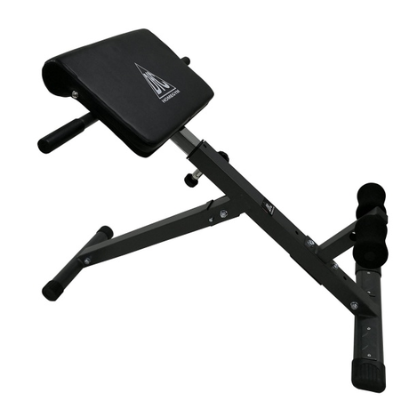 Гиперэкстензия DFC  Homegym SJ1007