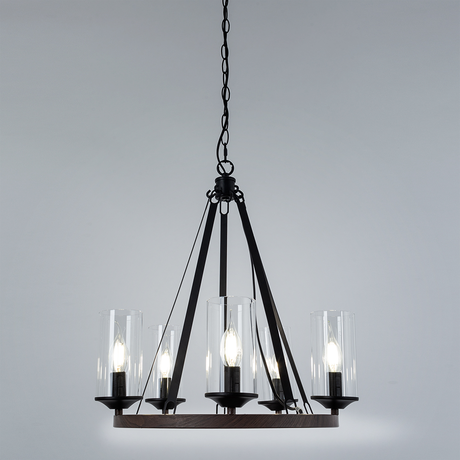 Люстра Arte Lamp  DALIM A7014SP-5BK