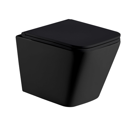 Унитаз WELTWASSER   GELBACH 041 MT-BL 