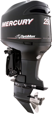 Mercury  250 CXXL OptiMax