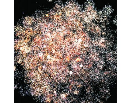 Батарея салютов Русский фейерверк ЕЛКА С ОГОНЬКОМ Р7210