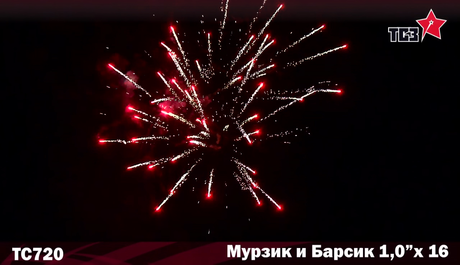 Батарея салютов Русская пиротехника БАРСИК И МУРЗИК РС7930