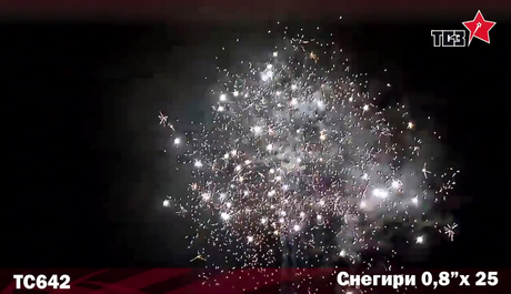 Батарея салютов Русская пиротехника СНЕГИРИ РС6932