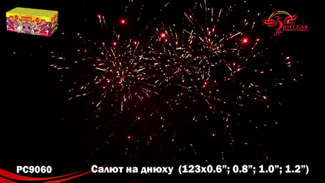 Батарея салютов Русская пиротехника САЛЮТ НА ДНЮХУ РС9060